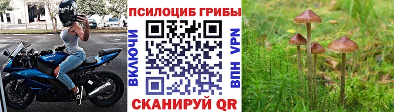 Галлюциногенные грибы GOLDEN TEACHER Нея